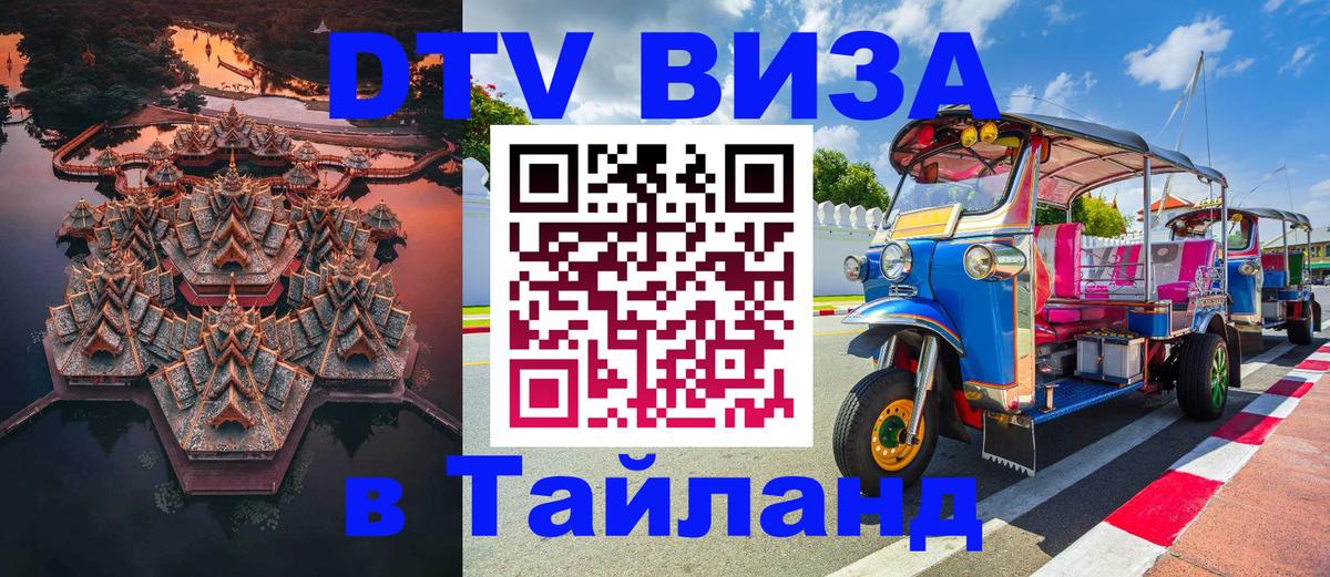 Оформление DTV визы под ключ: стоимость и тарифы, только загранпаспорт - 18.11.2025 
